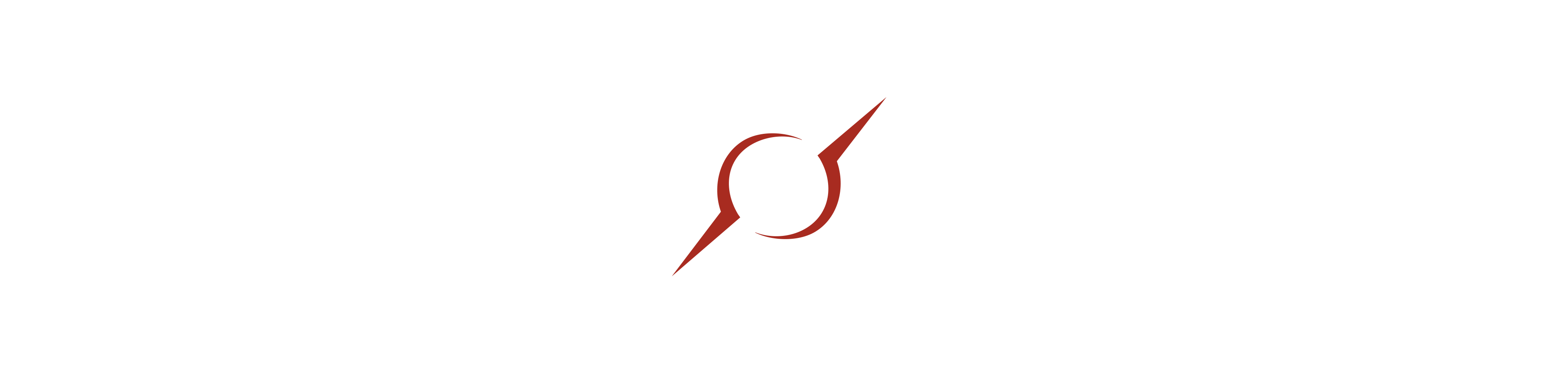 Data Void Logo